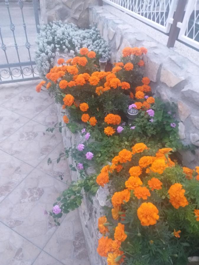 La Vita Apartment Šibenik Екстериор снимка
